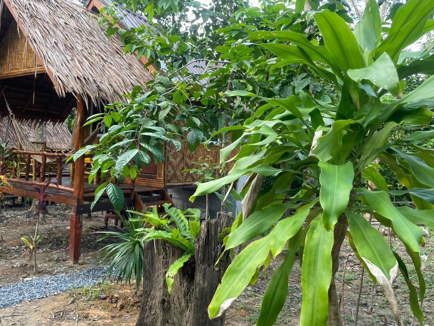 Dahla Lanta Hut Apartment เกาะลันตา ภายนอก รูปภาพ